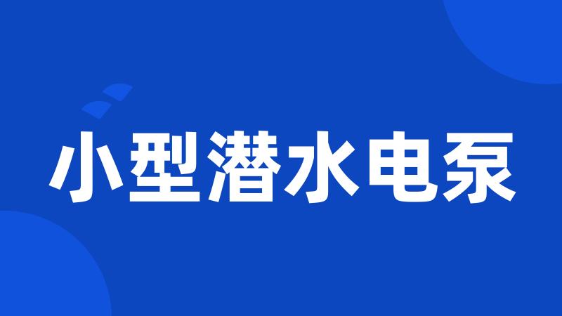 小型潜水电泵