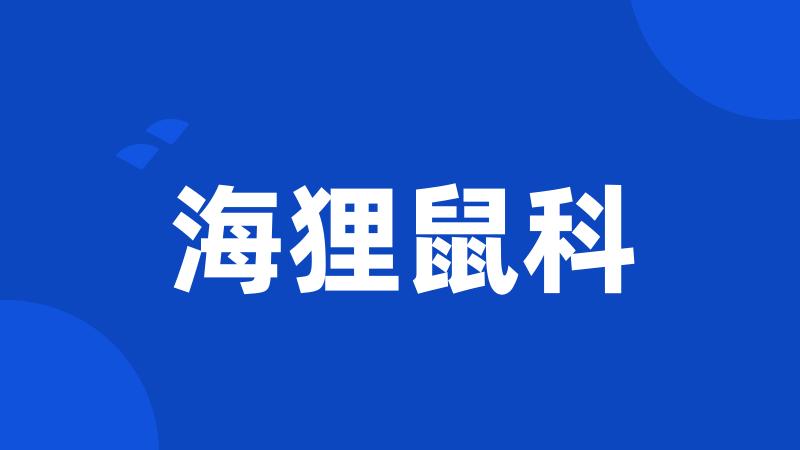 海狸鼠科
