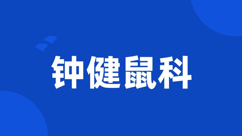 钟健鼠科