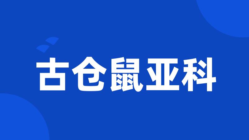 古仓鼠亚科