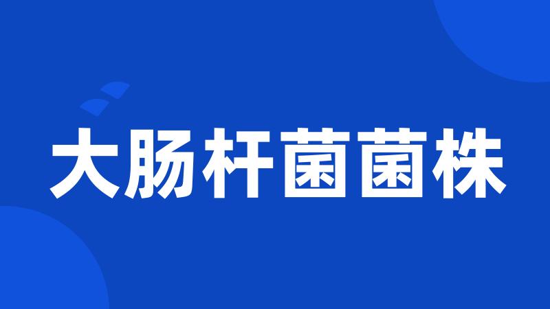 大肠杆菌菌株