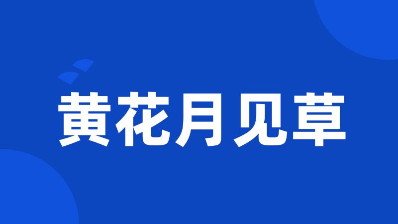 黄花月见草