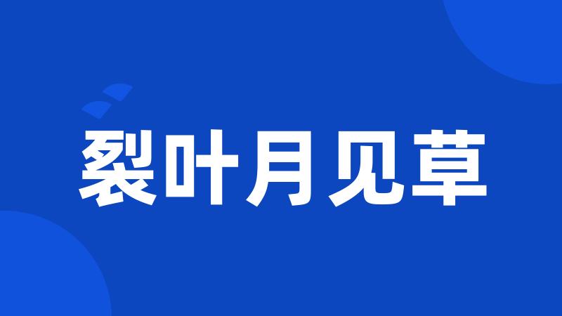裂叶月见草