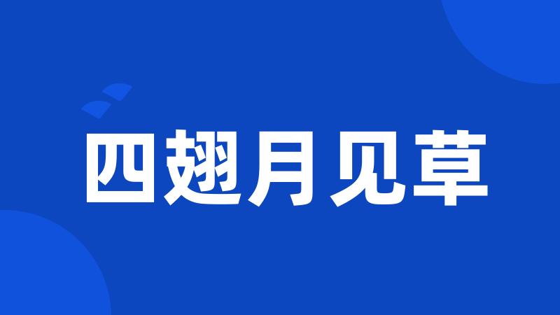 四翅月见草