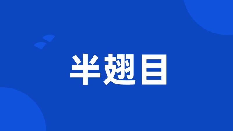 半翅目