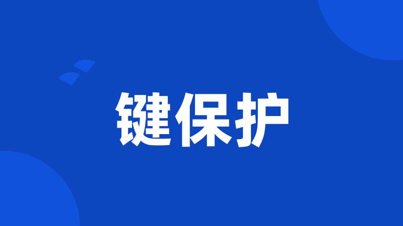 键保护