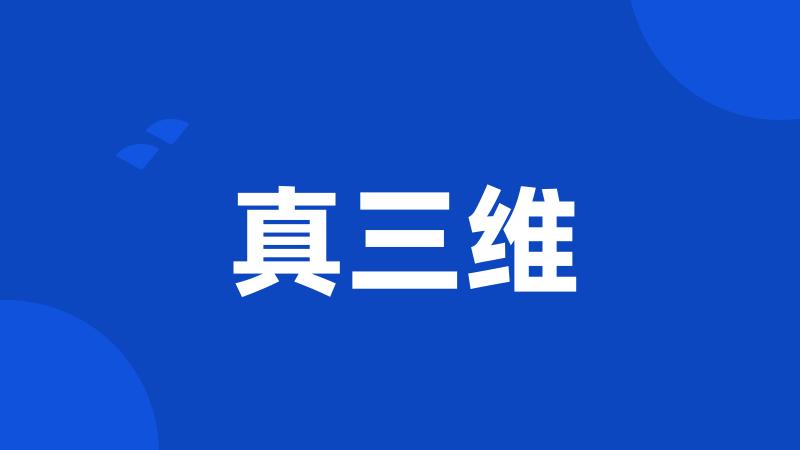 真三维