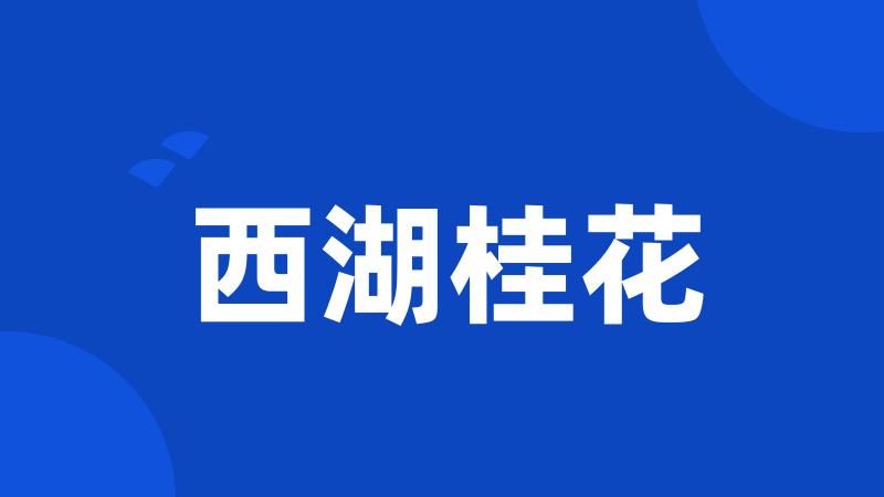 西湖桂花
