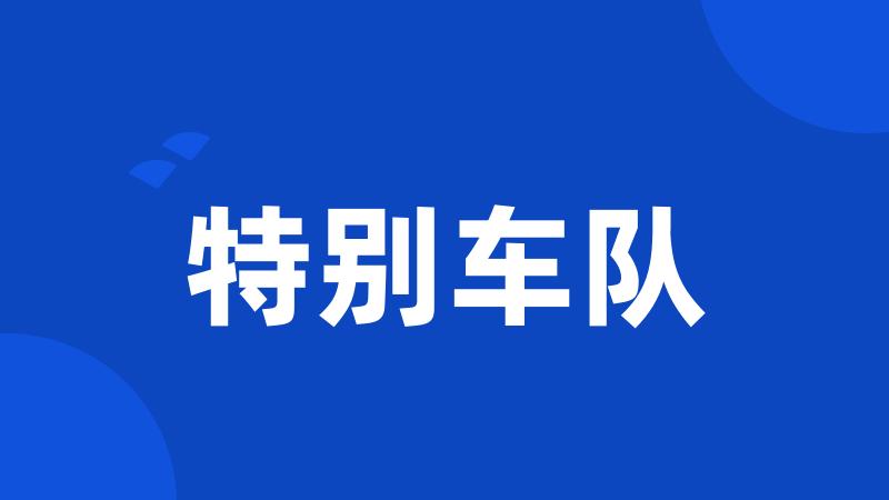 特别车队