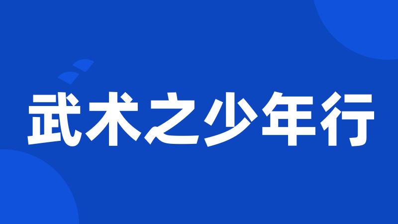 武术之少年行