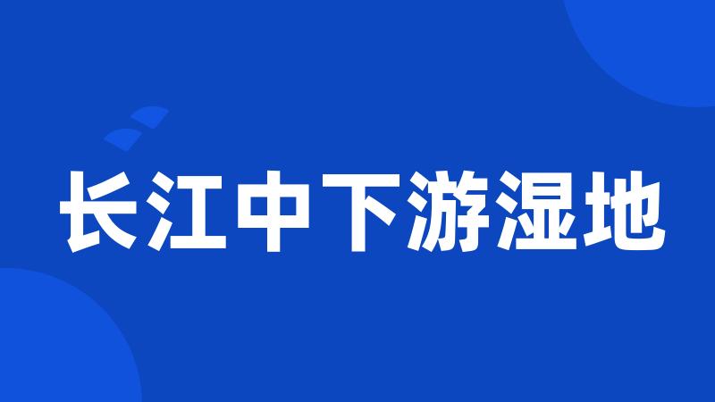 长江中下游湿地