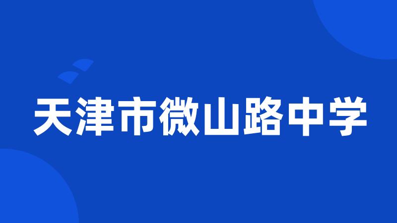 天津市微山路中学