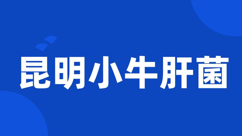 昆明小牛肝菌