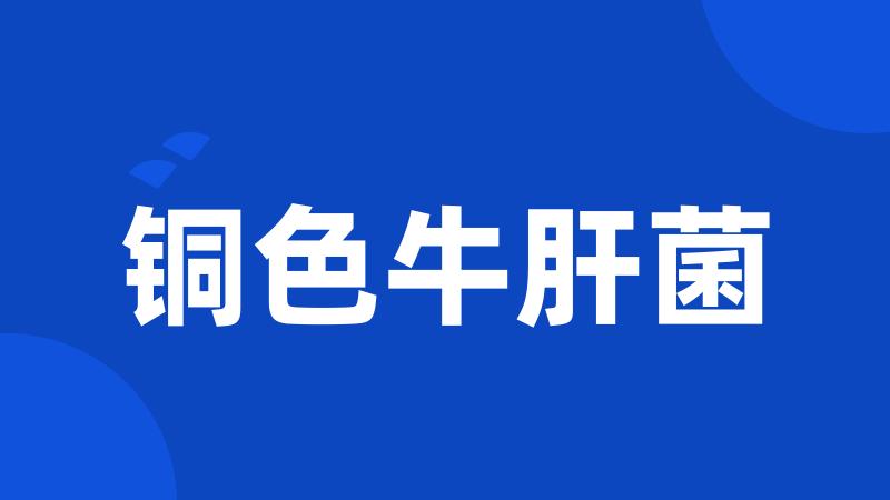 铜色牛肝菌