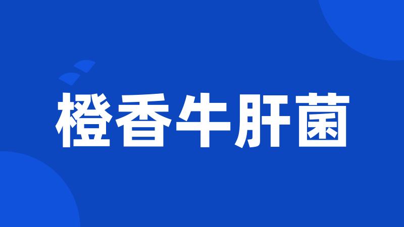 橙香牛肝菌