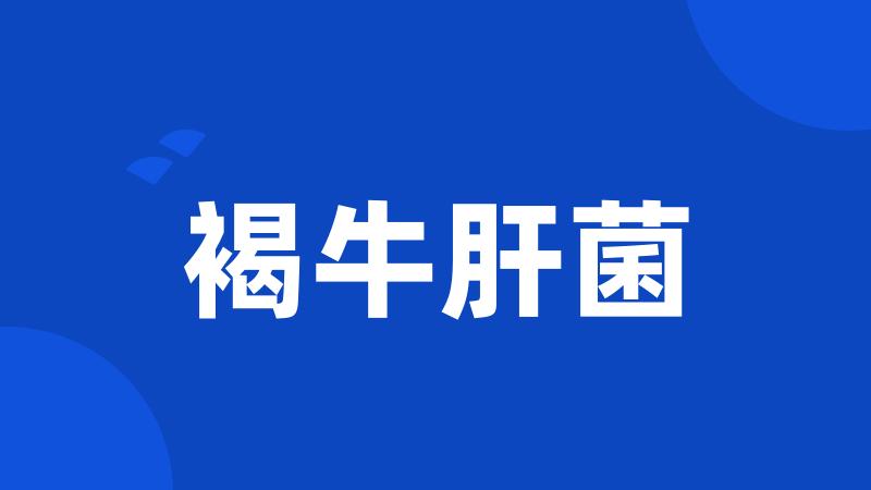 褐牛肝菌
