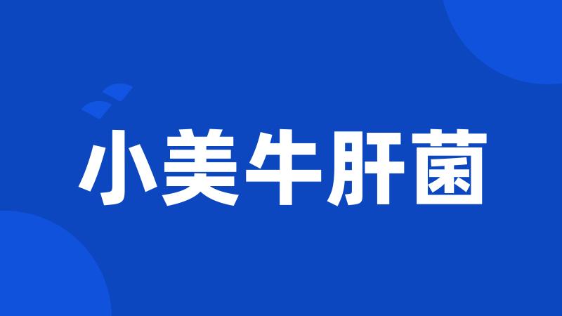小美牛肝菌