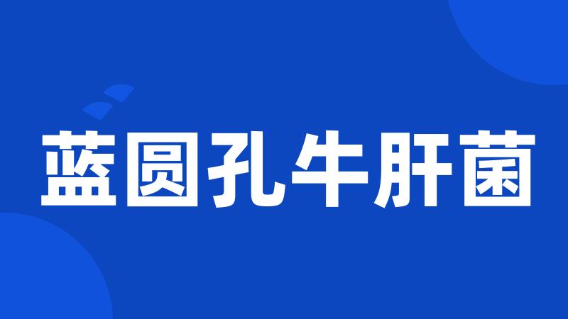 蓝圆孔牛肝菌