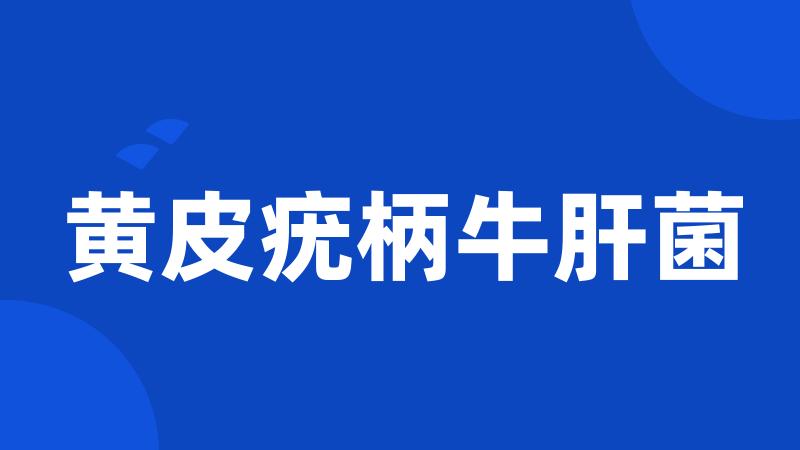 黄皮疣柄牛肝菌