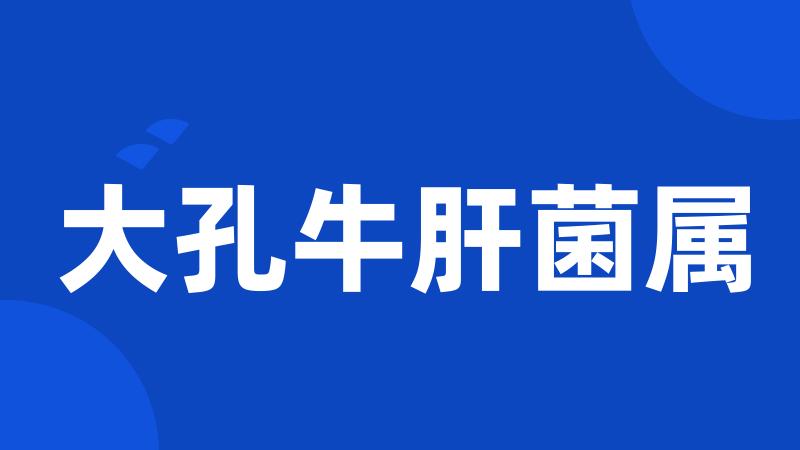大孔牛肝菌属