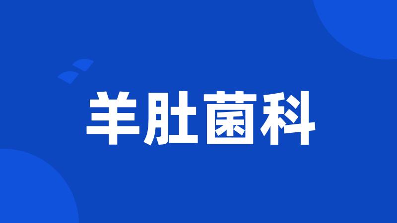 羊肚菌科
