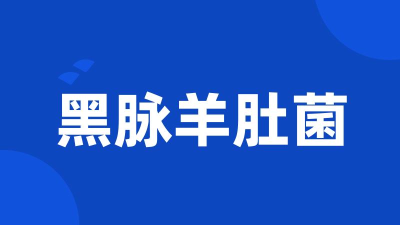黑脉羊肚菌