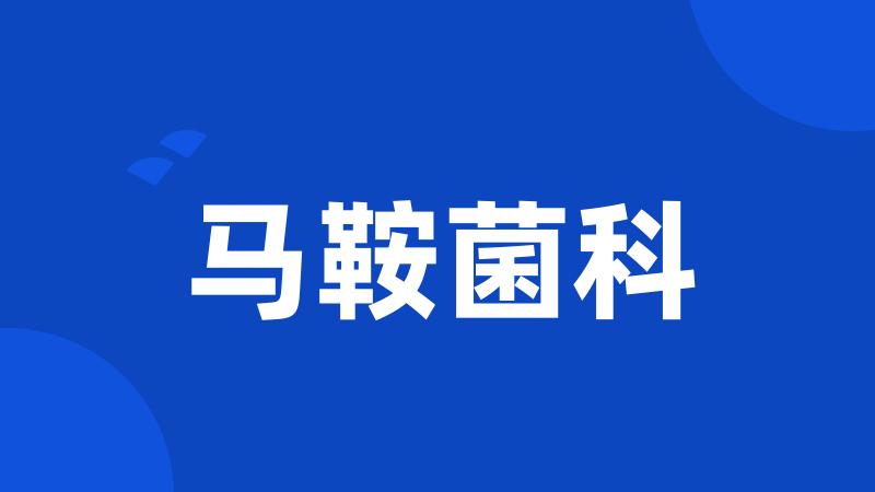 马鞍菌科