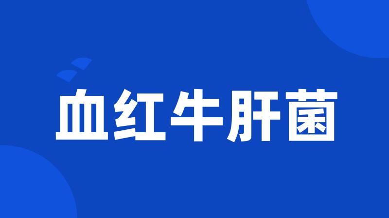 血红牛肝菌