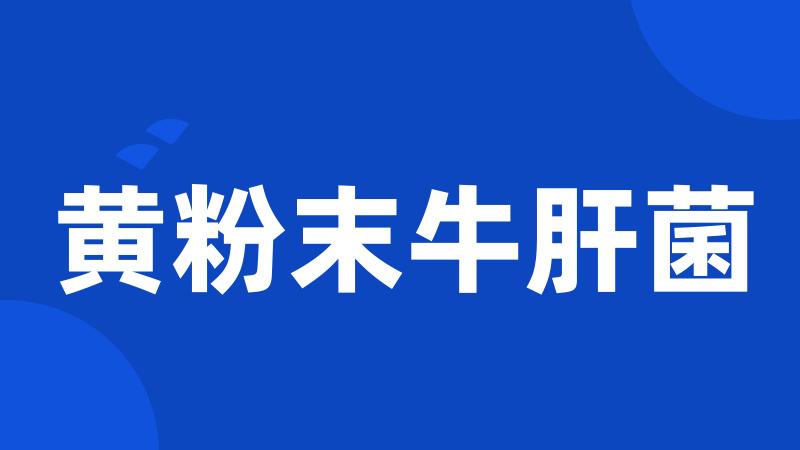 黄粉末牛肝菌
