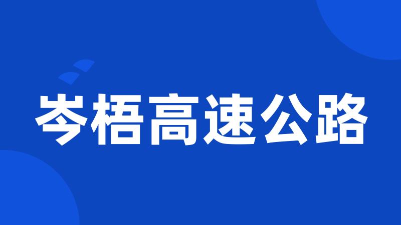 岑梧高速公路