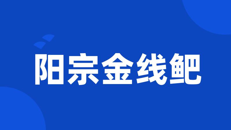 阳宗金线鲃
