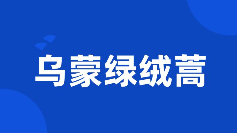 乌蒙绿绒蒿
