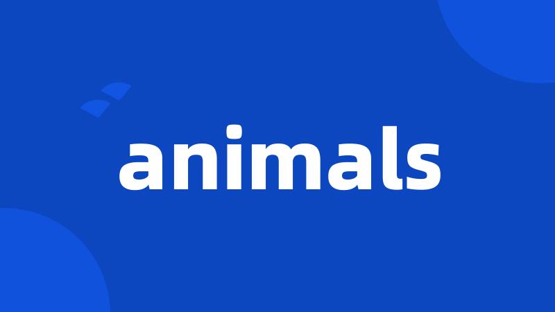 animals