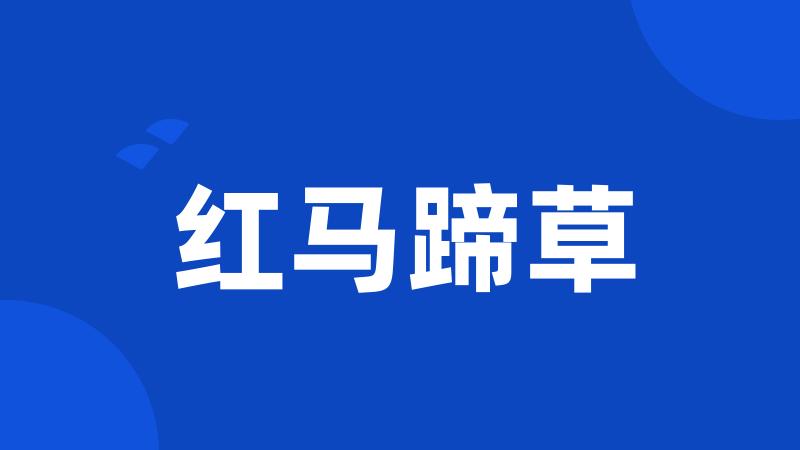 红马蹄草