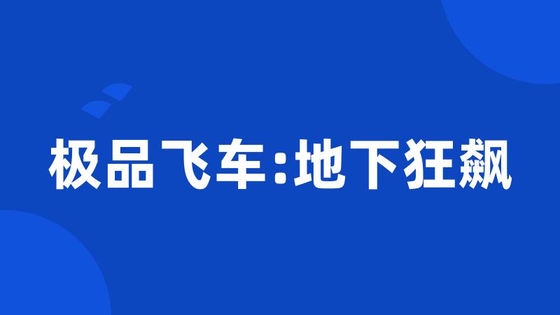 极品飞车:地下狂飙
