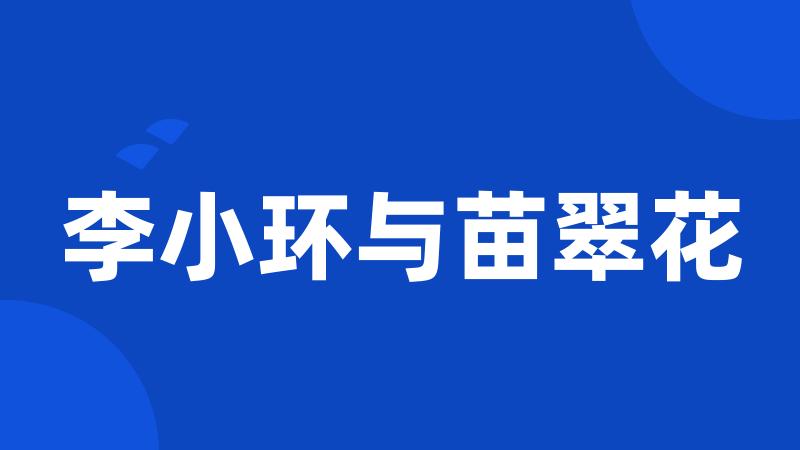 李小环与苗翠花