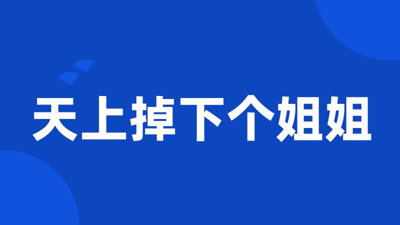 天上掉下个姐姐