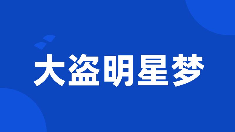 大盗明星梦