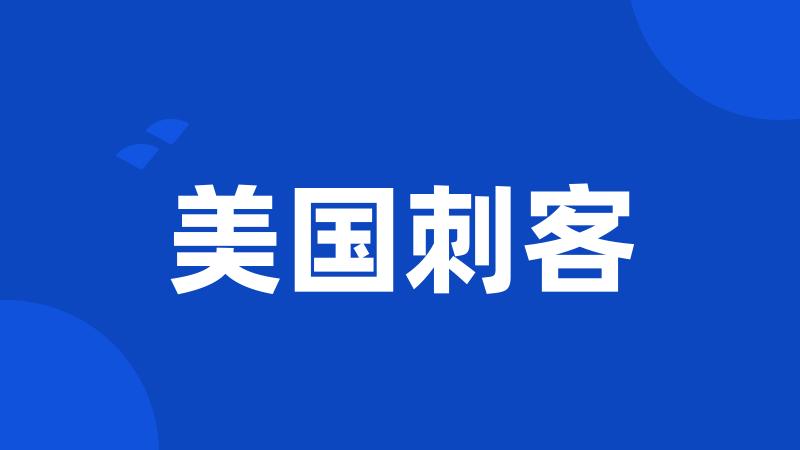 美国刺客