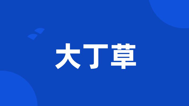 大丁草