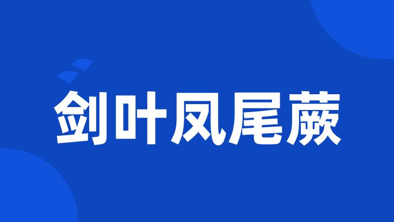 剑叶凤尾蕨