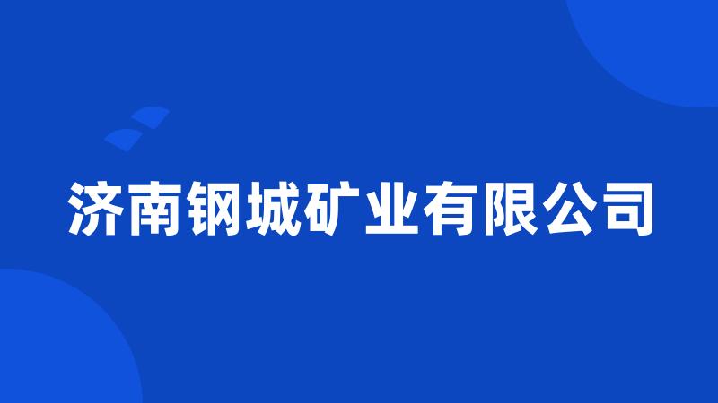 济南钢城矿业有限公司