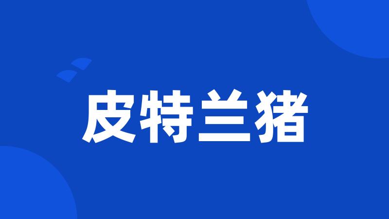 皮特兰猪