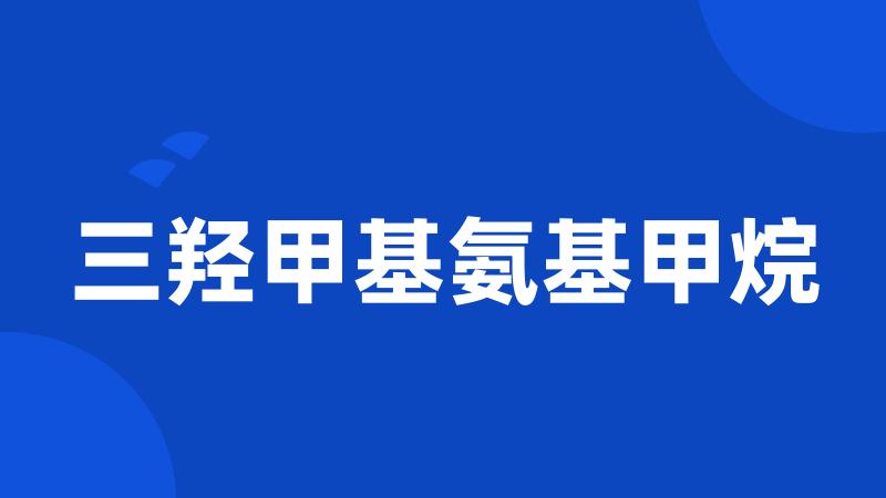 三羟甲基氨基甲烷