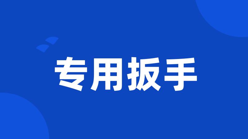专用扳手
