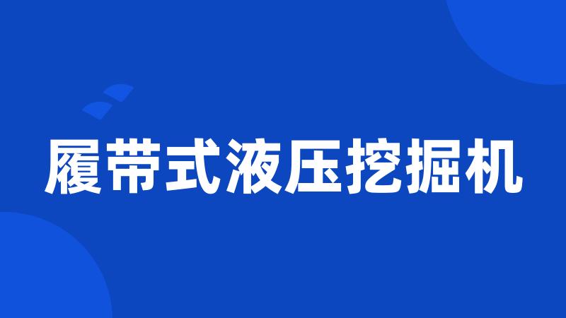 履带式液压挖掘机