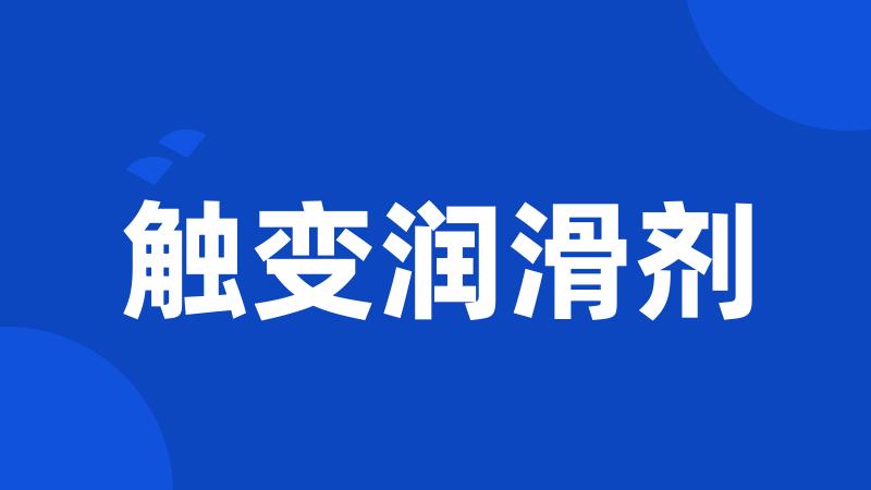 触变润滑剂