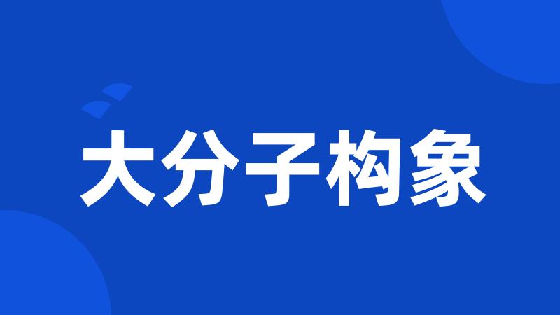 大分子构象