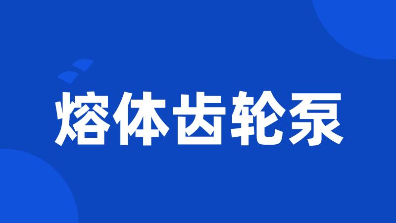 熔体齿轮泵