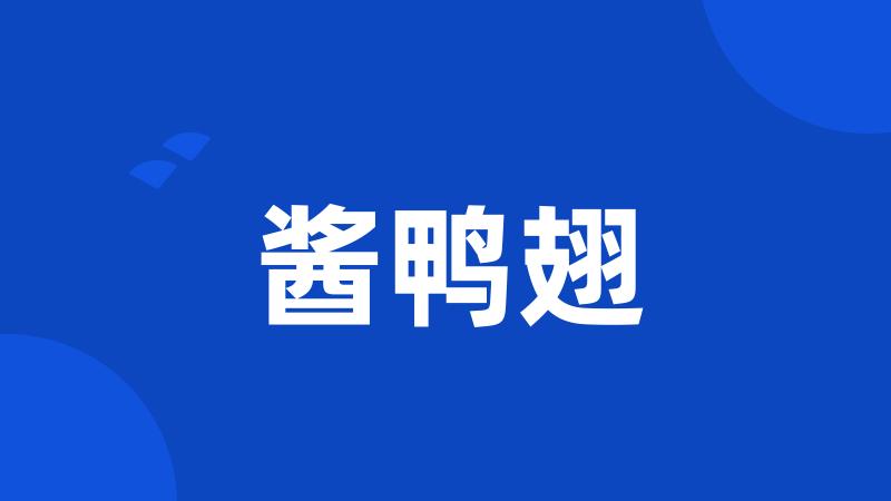 酱鸭翅